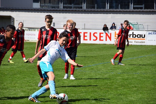 善与政策的 善与政策的