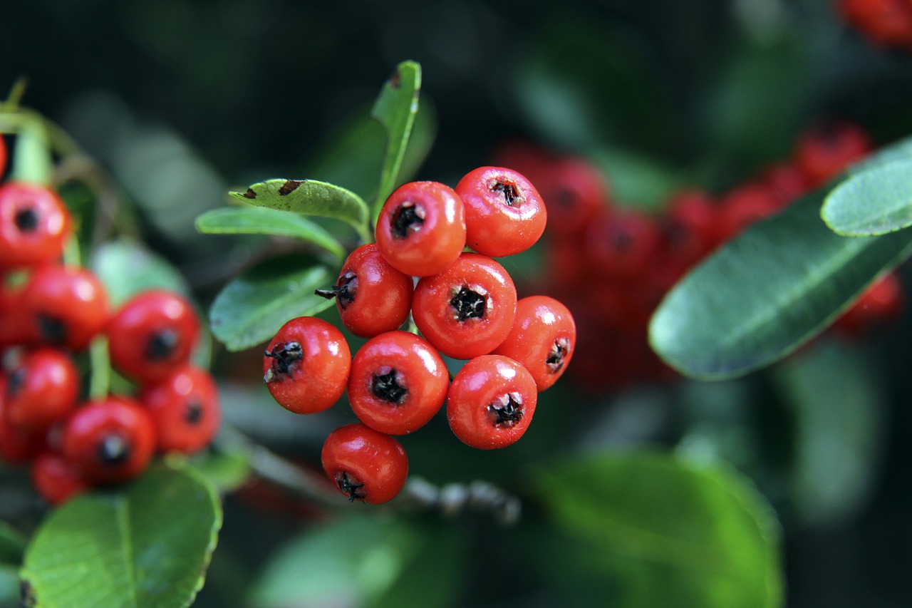 刻显得尤为 刻显得尤为