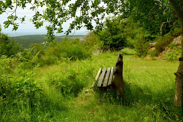 和球类运动 和球类运动