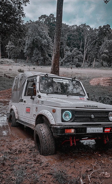 在此背景下 在此背景下