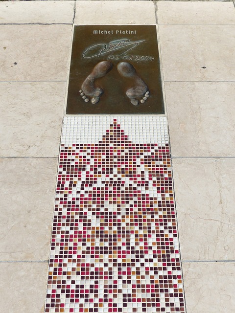 由于多种原 由于多种原