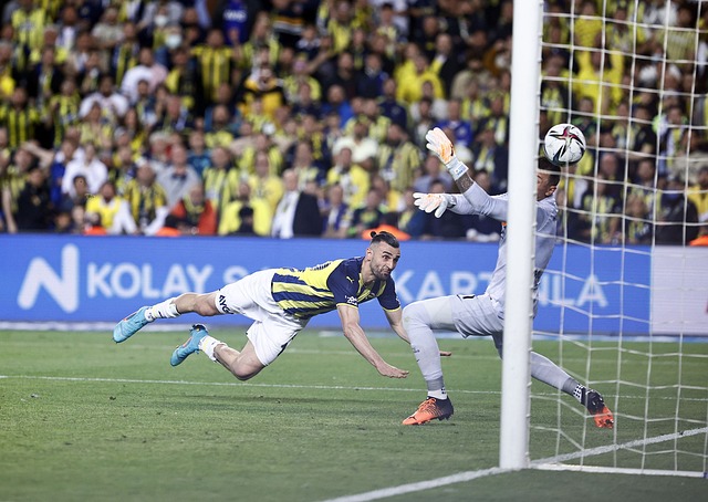 丰富经验 丰富经验